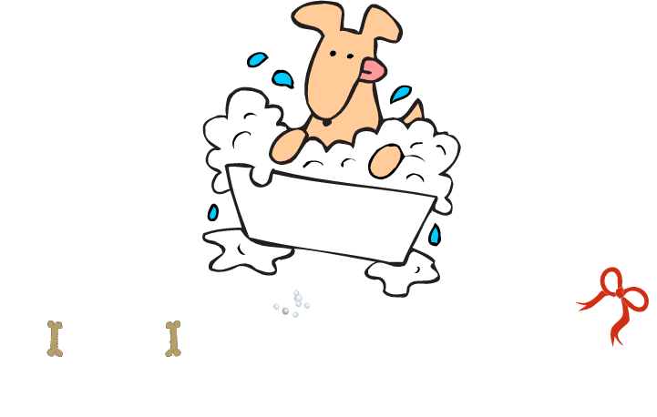 Biscuit Bath & Beyond